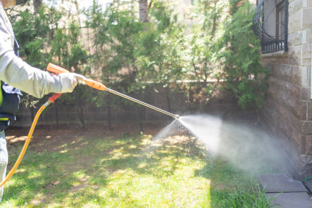 Best Mosquito Control Services  in Burton, MI